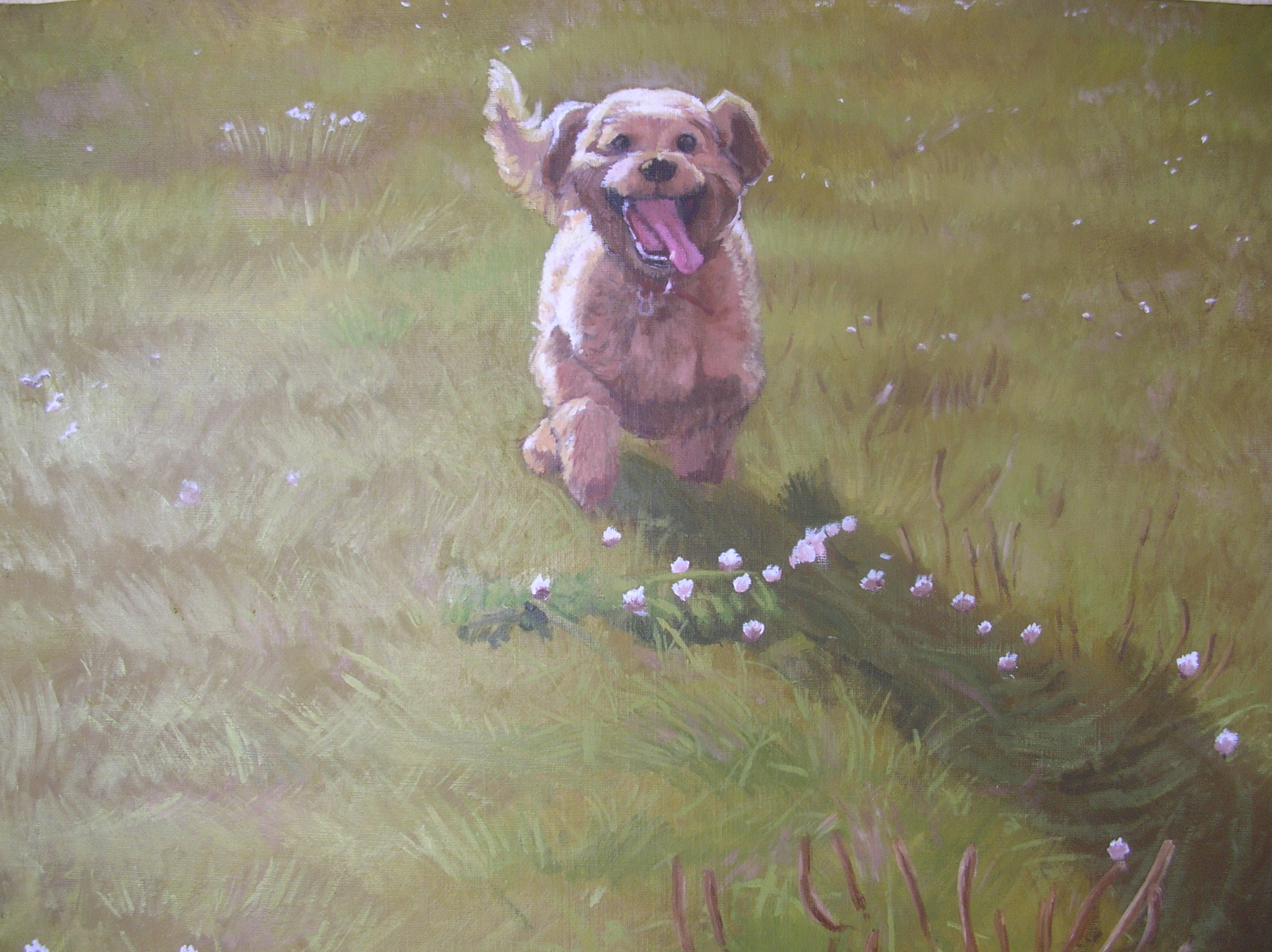 愛犬　油彩