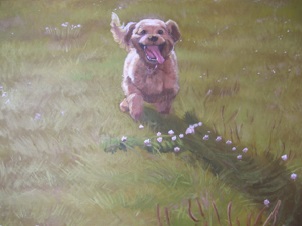 愛犬　Lovely Dog